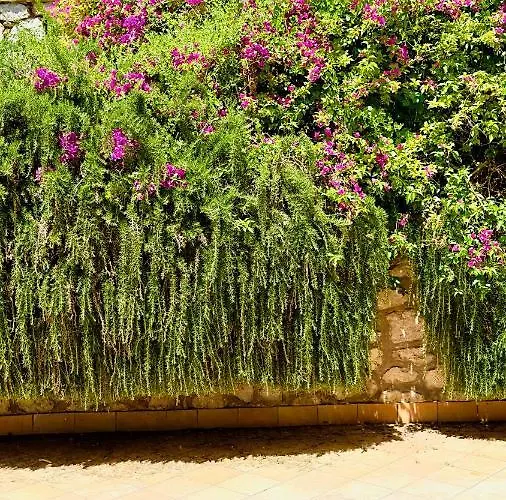 La Zagara By Caprirooms