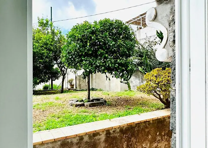 Πανσιόν La Zagara By Caprirooms Κάπρι