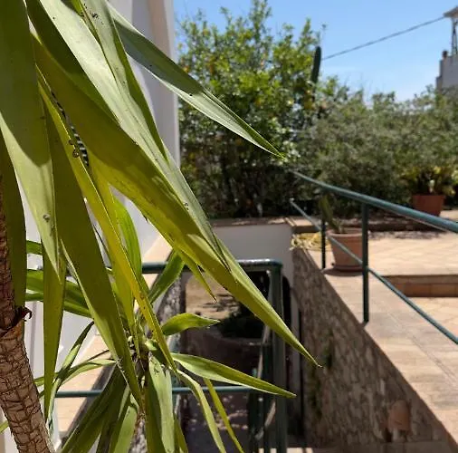 La Zagara By Caprirooms Guest house Capri